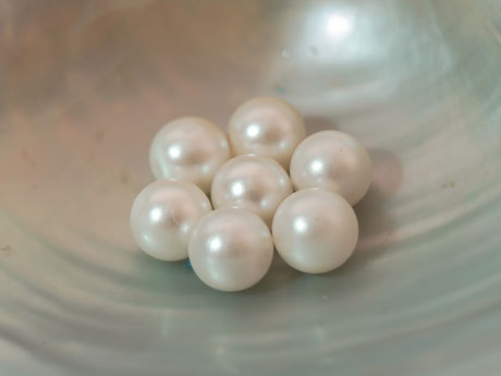 Pearl-Diving for Mother Nature's Luminous Jewel