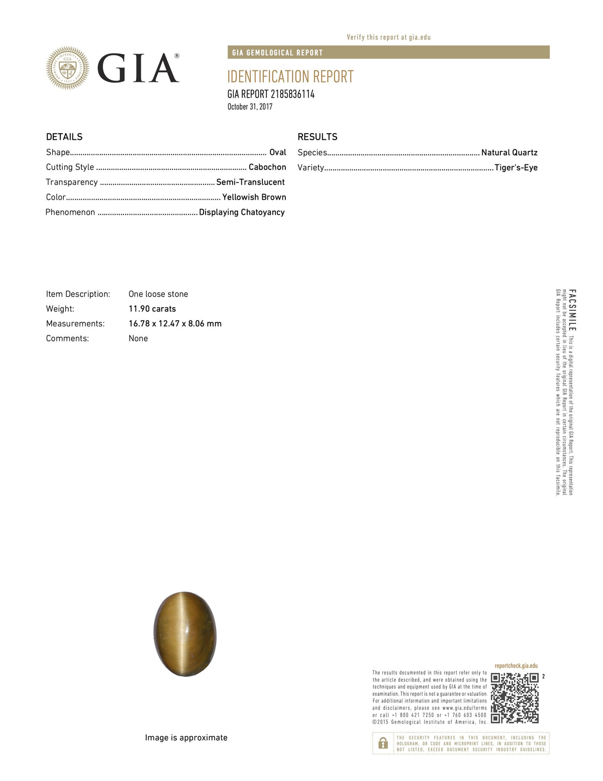  report image for Fly Pin in 18K Gold, French