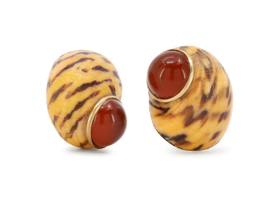 Maz Seashell Earrings in 14K Gold