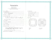 Tiffany & Co Soleste Platinum and Gold Yellow Diamond Engagement Ring –  Marinaloanandjewelry